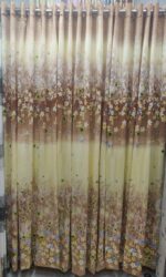 বেলি ফুল